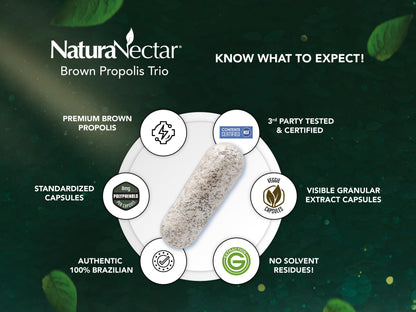 NaturaNectar Brown Bee Propolis - NSF Certified, Gluten-Free, Premium Brazilian Propolis (60pcs)