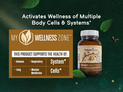 NaturaNectar Brown Bee Propolis - NSF Certified, Gluten-Free, Premium Brazilian Propolis (60pcs)