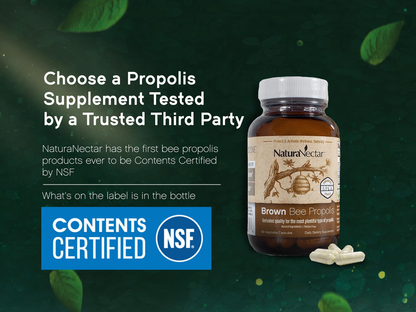 NaturaNectar Brown Bee Propolis - NSF Certified, Gluten-Free, Premium Brazilian Propolis (60pcs)