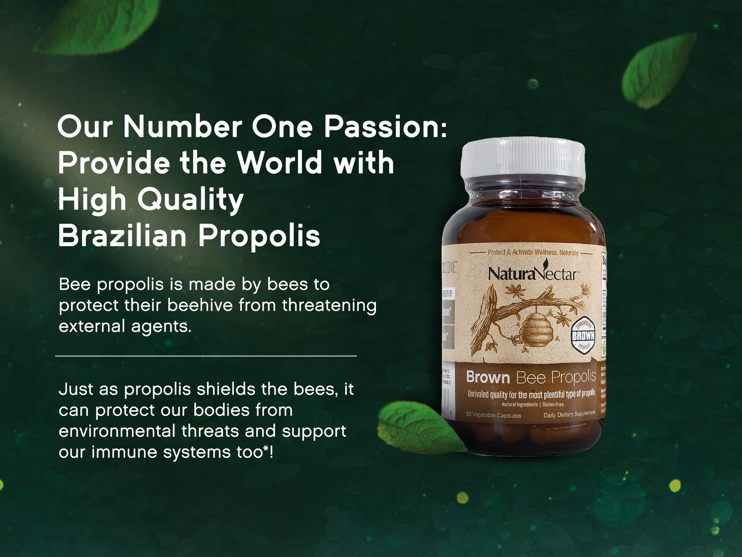 NaturaNectar Brown Bee Propolis - NSF Certified, Gluten-Free, Premium Brazilian Propolis (60pcs)