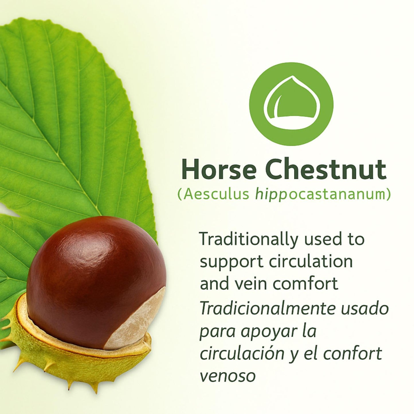 Horse Chestnut Capsules 1500 mg – 90 Veggie Caps | Vein & Circulation Support | Made in USA