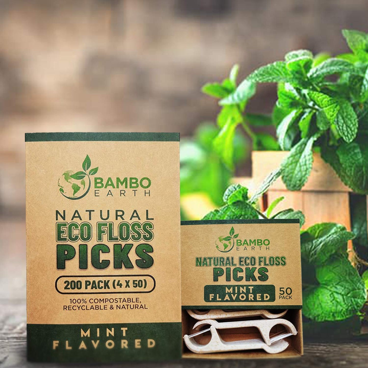 Natural Dental Floss Picks - Eco Friendly, Cruelty-Free, Vegan | 200-Pack Mint