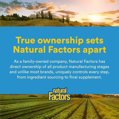 Natural Factors Acetyl L-Carnitine 500 mg - 60 Vegetarian Capsules
