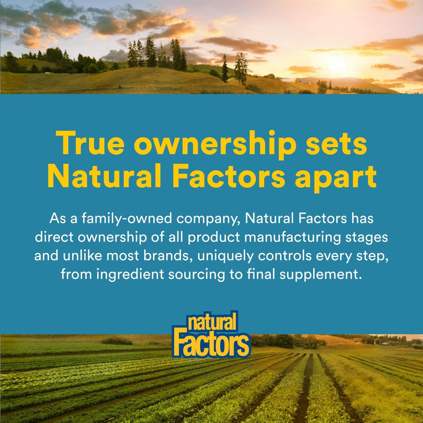 Natural Factors Acidophilus & Bifidus – Digestive Health, 90 Capsules