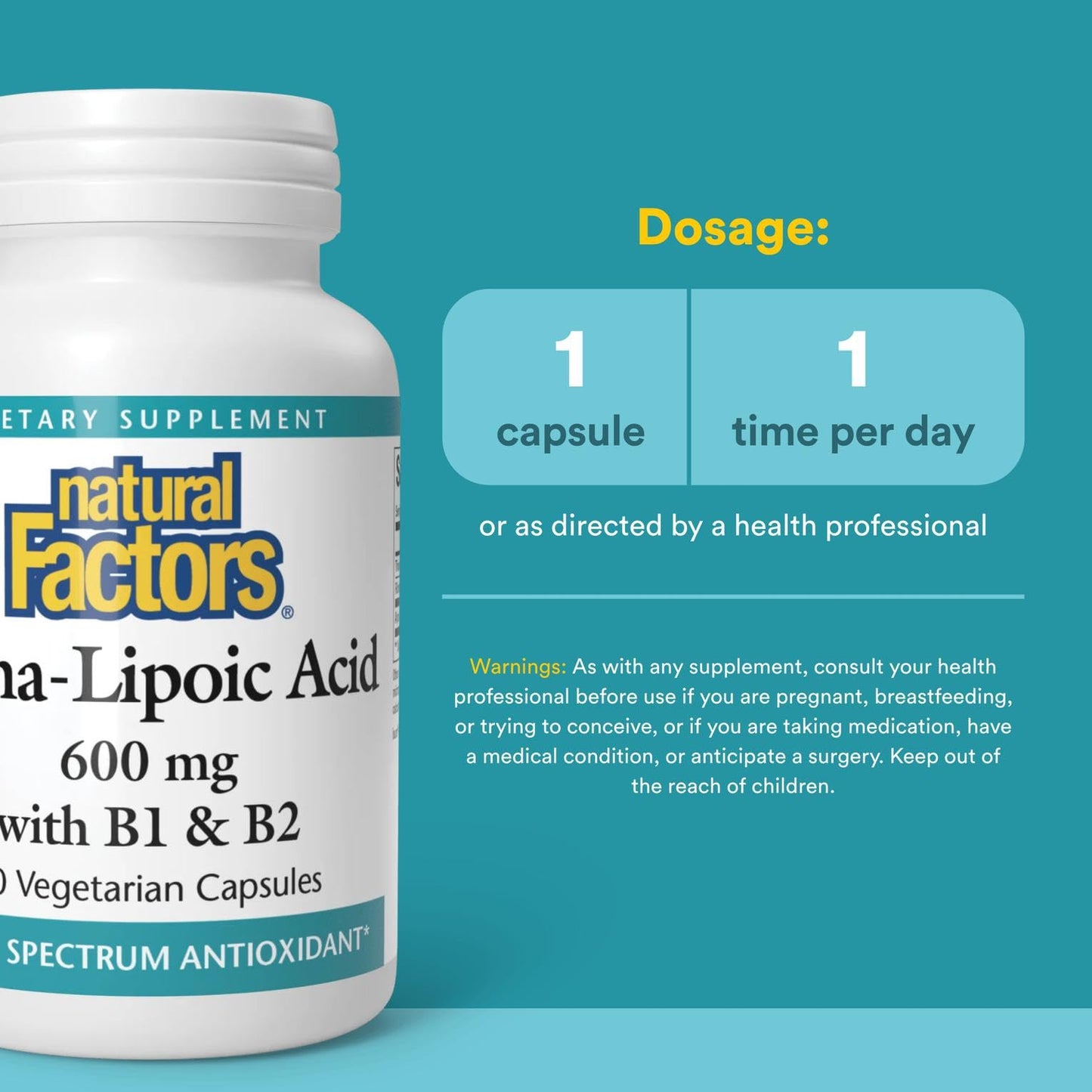 Natural Factors Alpha-Lipoic Acid + B 600 mg – 60 Capsules | Antioxidant Support