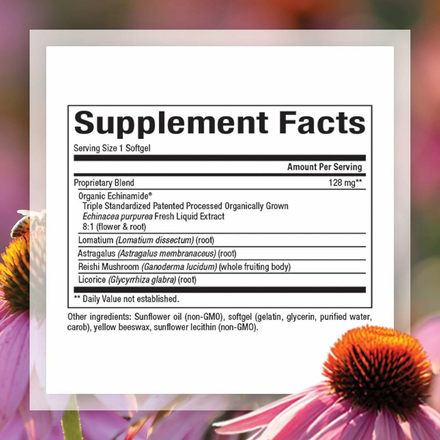 Natural Factors Anti-V Formula – Immune Support Supplement with Reishi & Licorice Root – 120 Softgels
