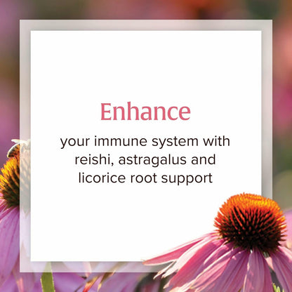 Natural Factors Anti-V Liquid Formula Echinacea Supplement for Immune & Wellness Support – Organic, Non-GMO, 3.4 oz (100 Servings)