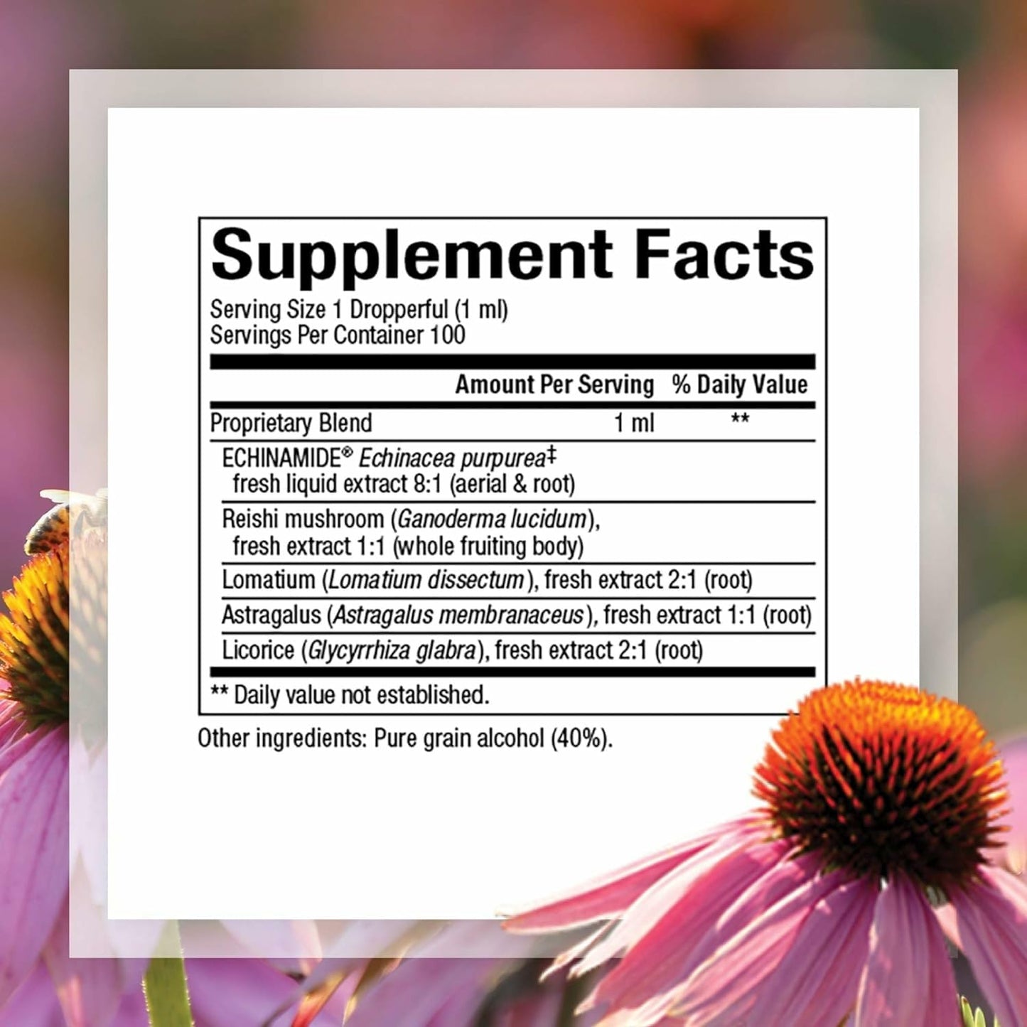 Natural Factors Anti-V Liquid Formula Echinacea Supplement for Immune & Wellness Support – Organic, Non-GMO, 3.4 oz (100 Servings)