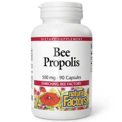 Natural Factors Bee Propolis Extract 500 mg – Supports Immune Health – 90 Capsules (90 Servings)