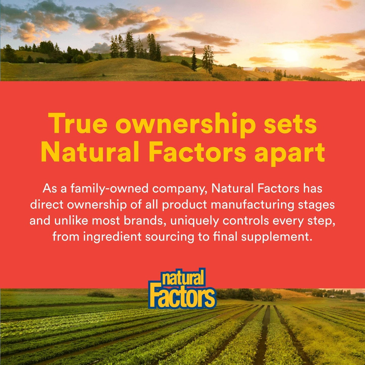 Natural Factors C Extra + Quercetin – 60 Easy Swallow Capsules | Vitamin C 500 mg & Quercetin 250 mg | Non-GMO, Vegan