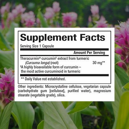 Natural Factors CurcuminRich Theracurmin – Antioxidant Curcumin Supplement, 60 Veggie Capsules
