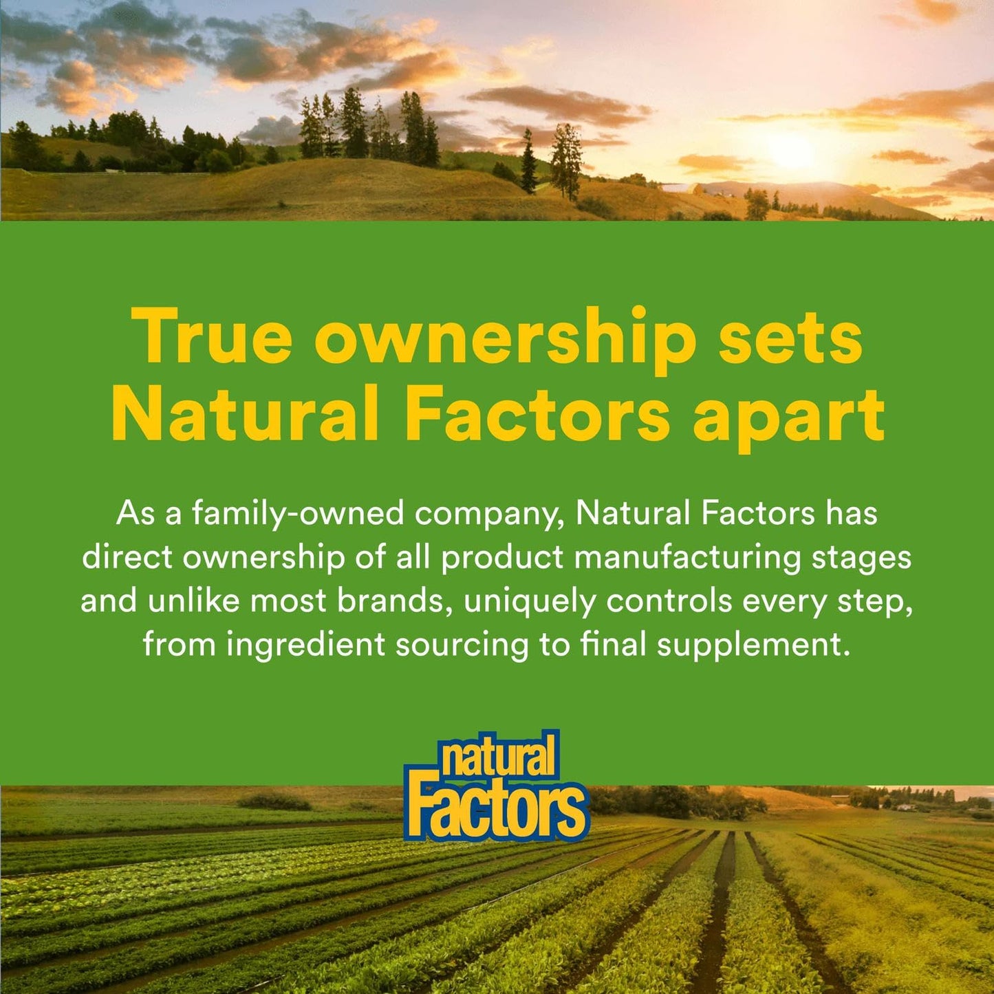 Natural Factors Chewable Ginger 500 mg, 90 Count | Digestive Support