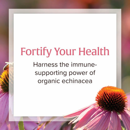Natural Factors Anti-V Liquid Formula Echinacea Supplement for Immune & Wellness Support – Organic, Non-GMO, 3.4 oz (100 Servings)