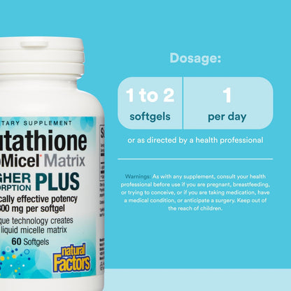 Natural Factors Glutathione LipoMicel Matrix 300 mg | Higher Absorption