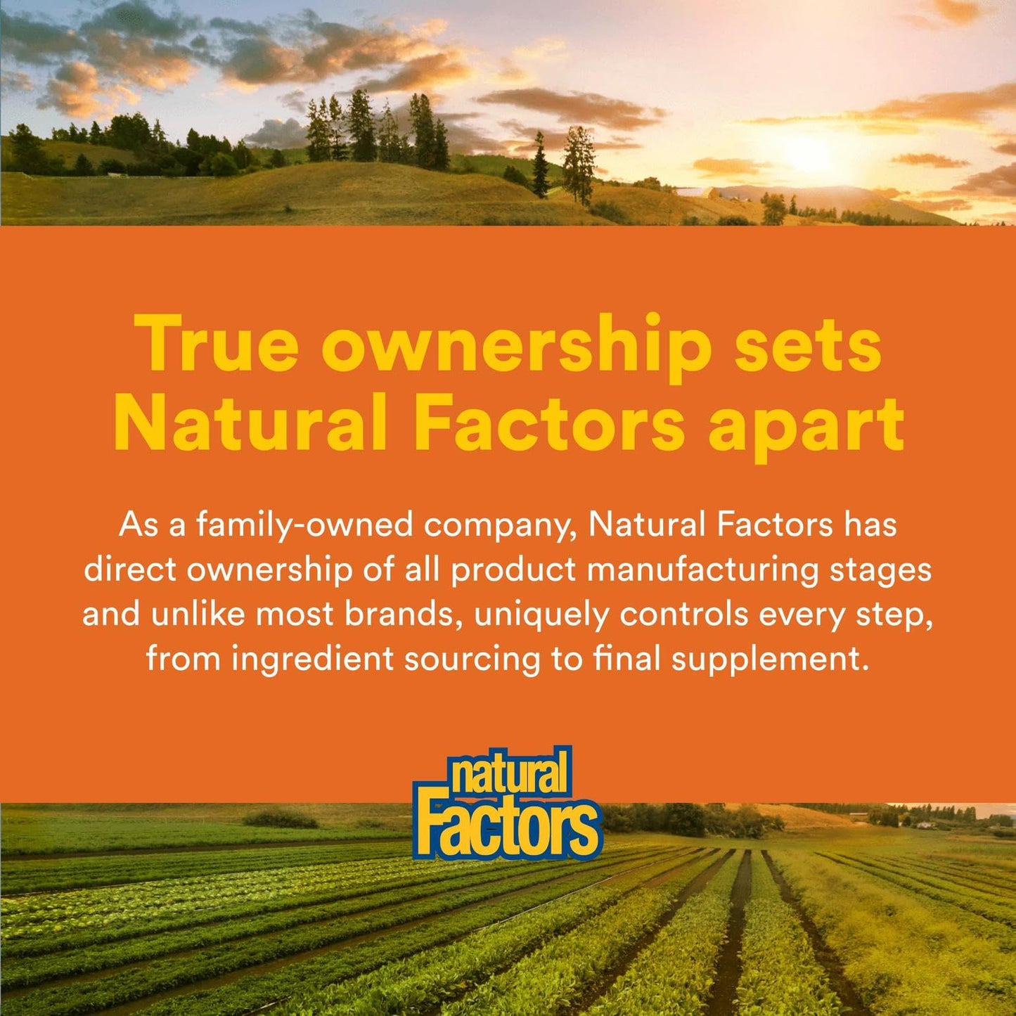 Natural Factors SAMe 200mg - Joint & Mood Support, 30 Enteric Coated Tablets