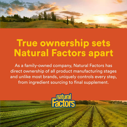 Natural Factors Hi Potency B Complex 50 mg - 90 Capsules | B Vitamins with Choline & Inositol