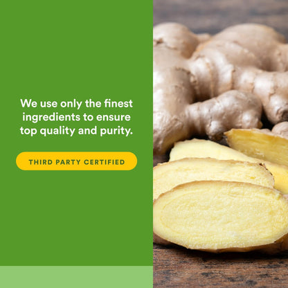 Natural Factors Chewable Ginger 500 mg, 90 Count | Digestive Support