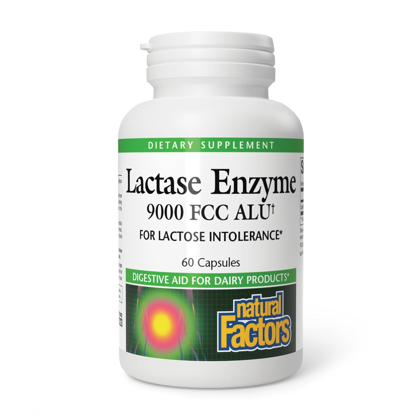 Natural Factors Lactase Enzyme - Digestive Aid for Lactose Intolerance (60 Capsules)