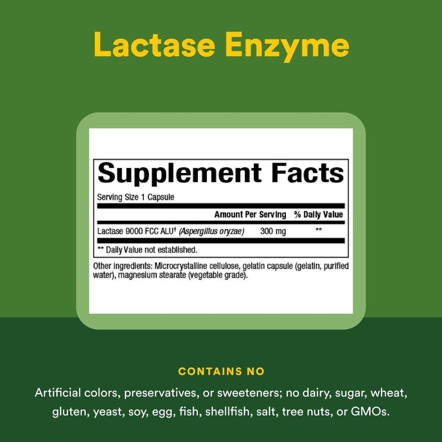 Natural Factors Lactase Enzyme - Digestive Aid for Lactose Intolerance (60 Capsules)