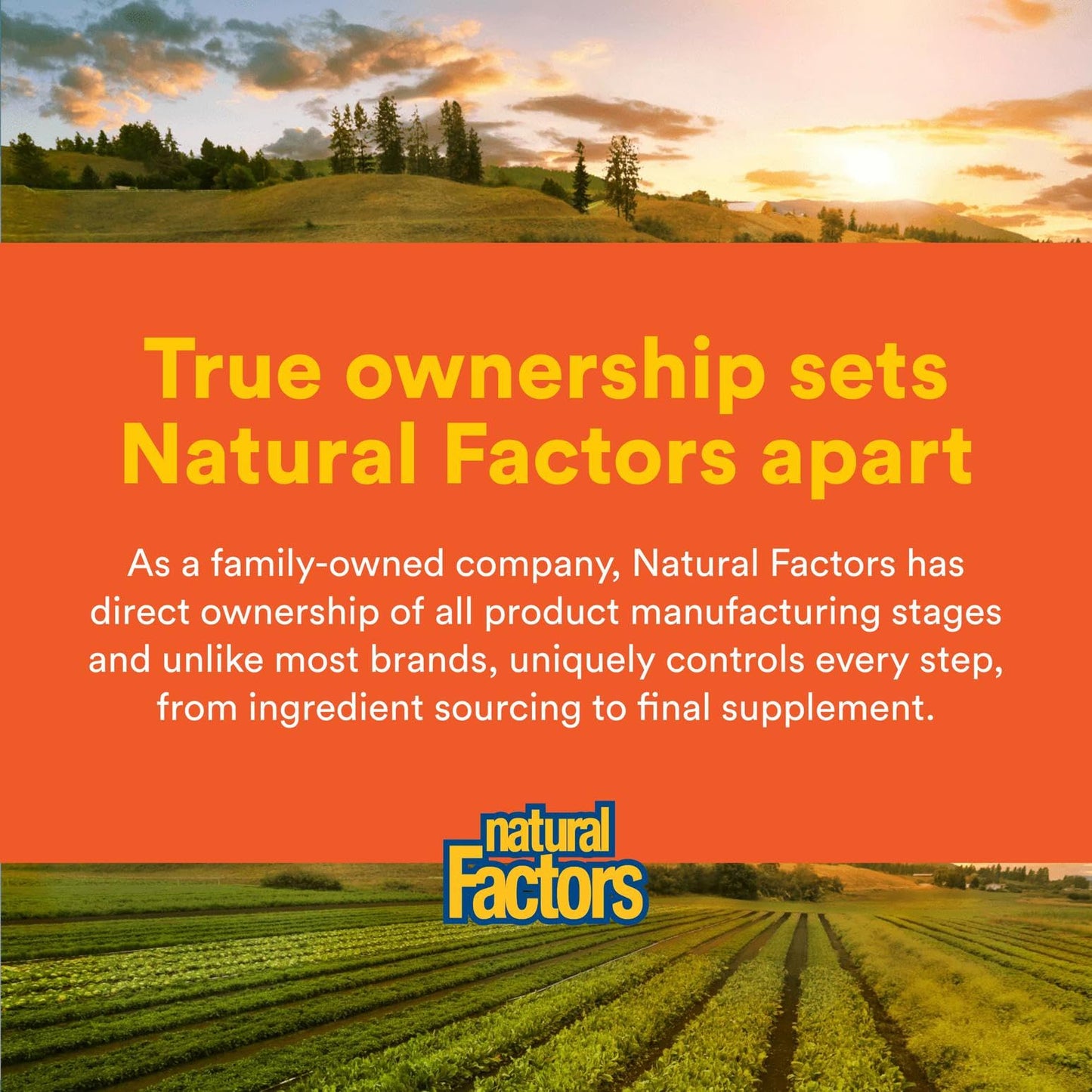 Natural Factors MSM – Supports Healthy Joints, Hair, Skin & Nails | 90 Capsules