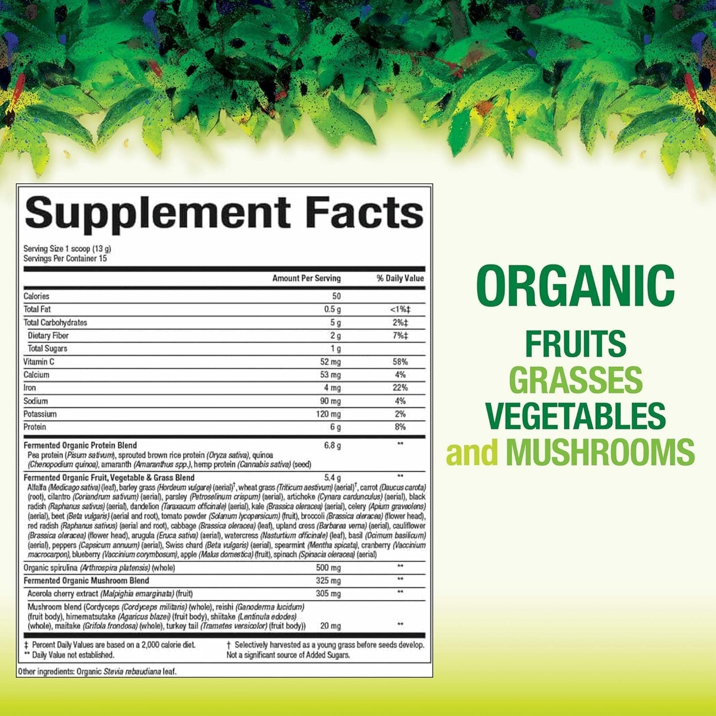 Natural Factors Organic Greens - Antioxidant Support for Immune Health | Green Drink Mix 6.9 oz