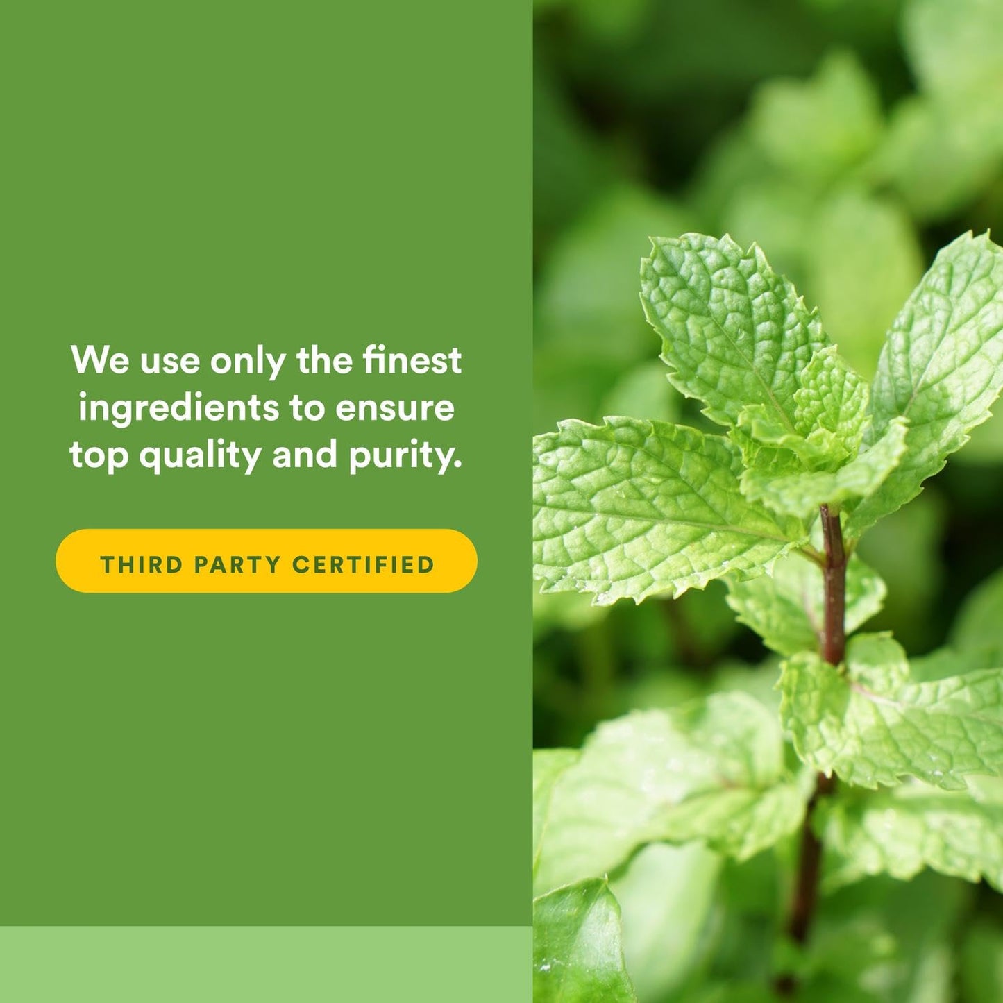 Natural Factors Peppermint & Oregano Oil Complex Digestive Aid – 60 Softgels