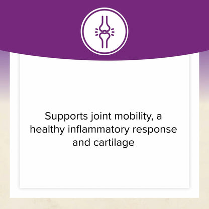 Natural Factors OsteoMove Joint Care Extra Strength - Non-GMO, 60 Tablets