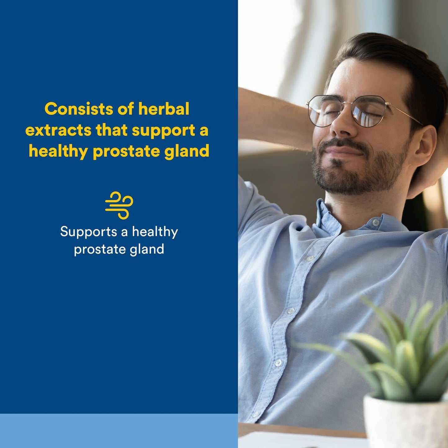 Natural Factors Prostate Health Formula – Saw Palmetto & Turmeric (60 Softgels)