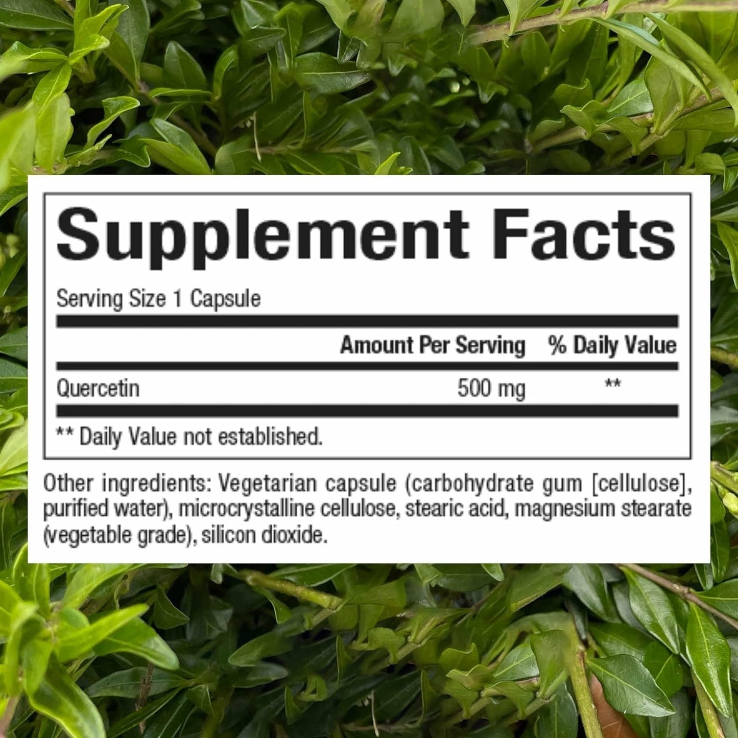 Natural Factors Quercetin - Antioxidant Support Supplement for Respiratory & Lung Health Support - Quercetin Supplement Aids Your Body's Health & Function - 60 Vegetarian Capsules (60 Servings)