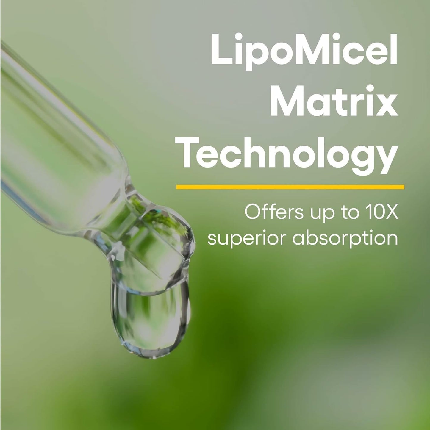 Natural Factors Quercetin LipoMicel Matrix – Immune & Capillary Health