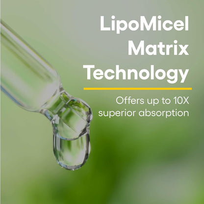 Natural Factors Quercetin LipoMicel Matrix Gel - 60 Count