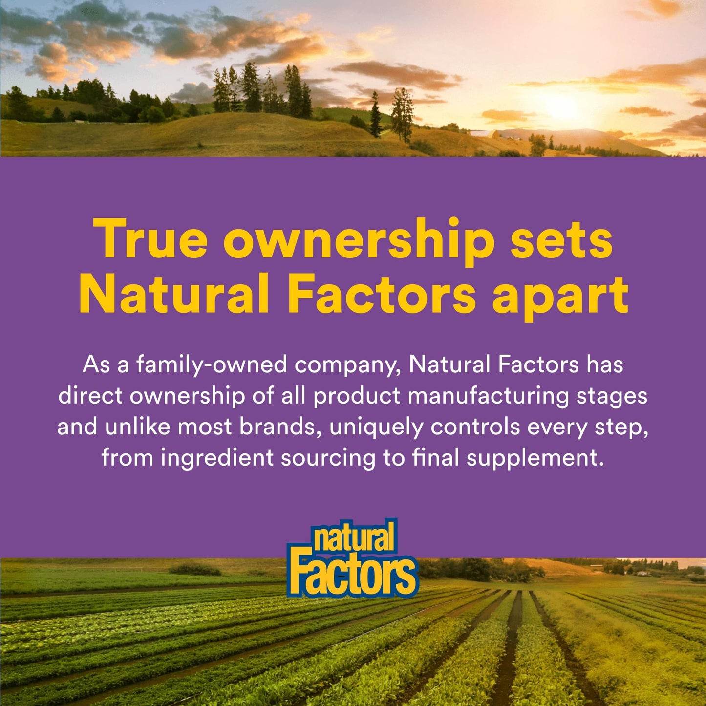 Natural Factors Stress-Relax Affron Saffron Extract 28 mg, 60 Vegetarian Capsules