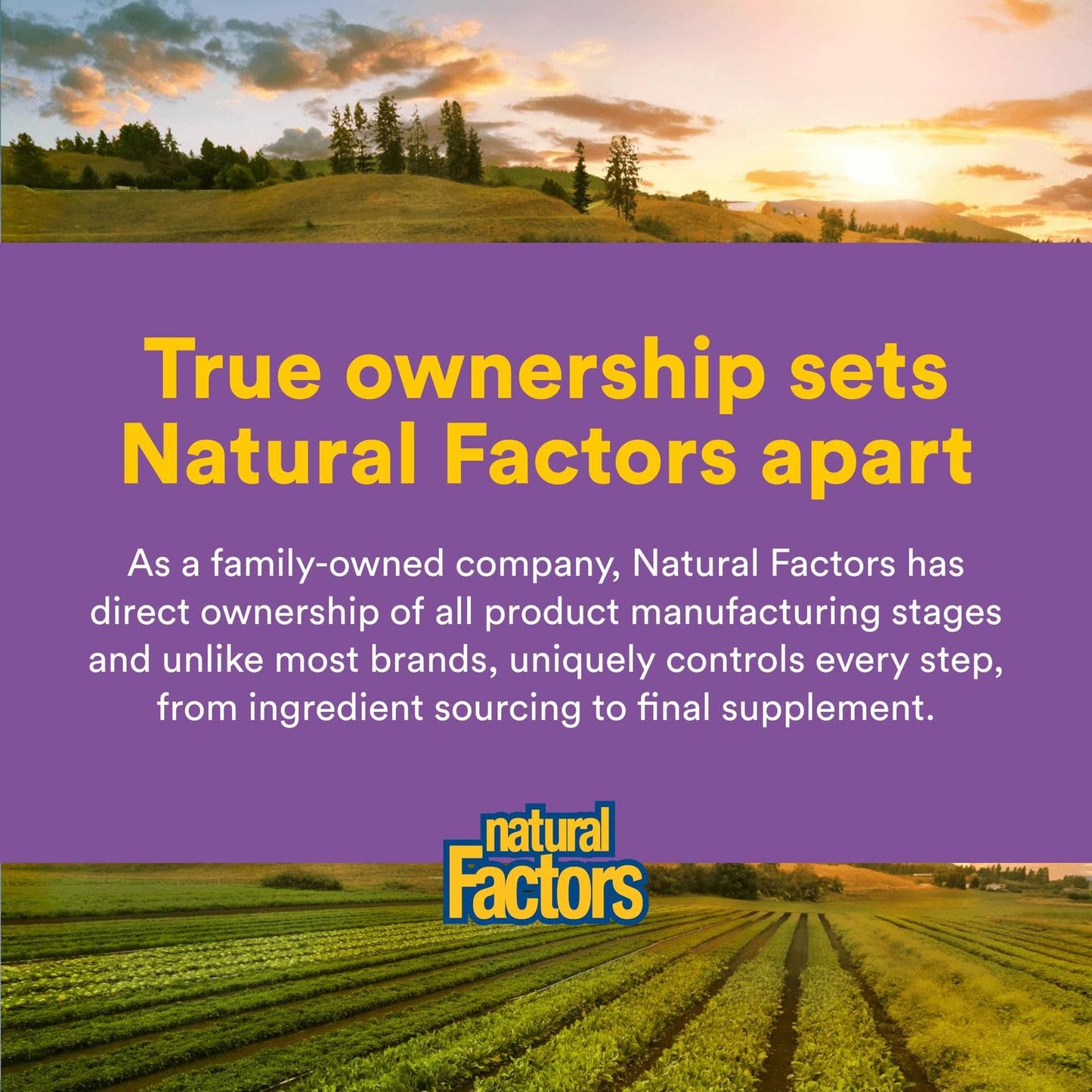 Natural Factors Stress-Relax Mind Retreat – 60 Vegetarian Capsules