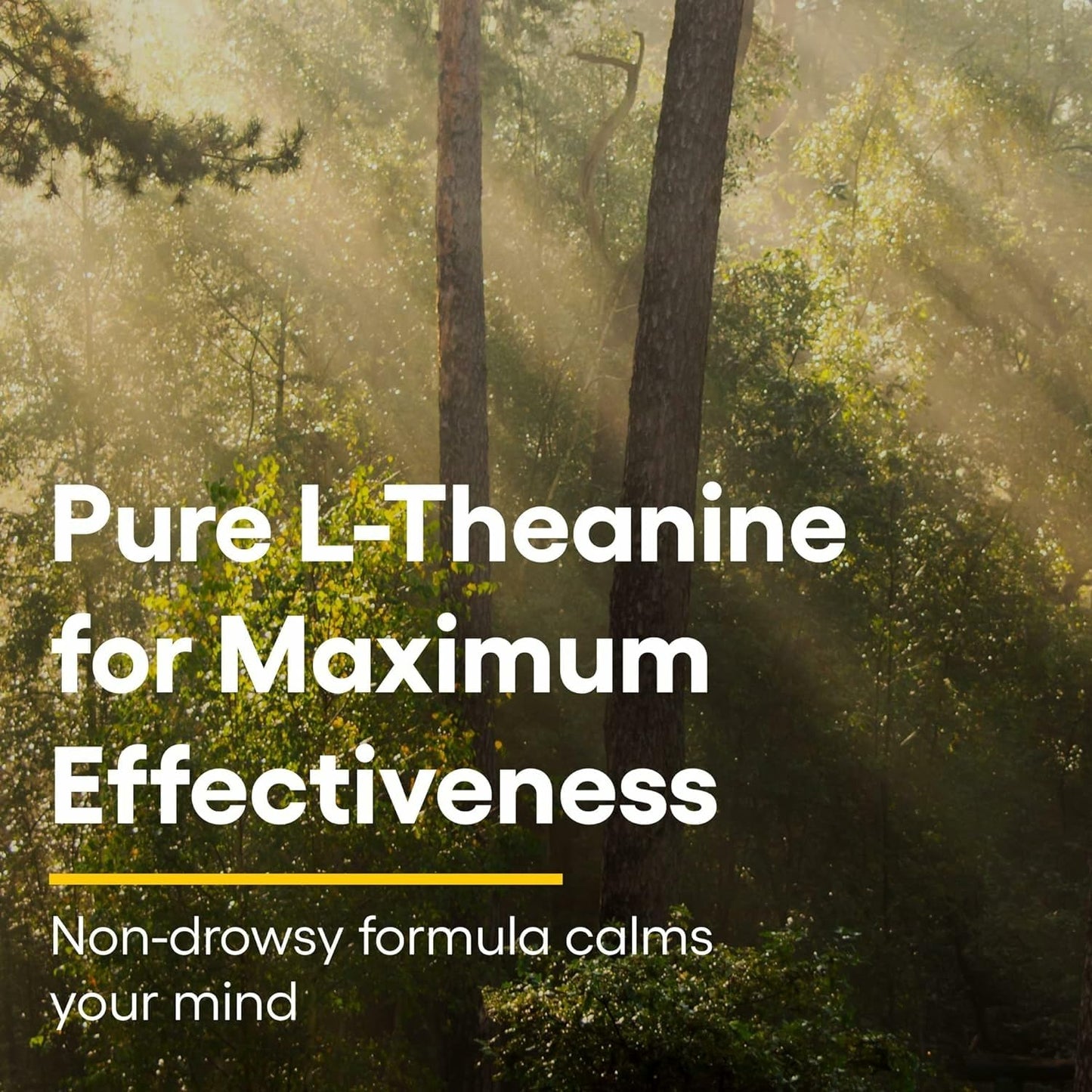 Natural Factors Suntheanine L-Theanine 100 mg – Calm Outlook & Sleep Support | 120 Chewable Tablets (60 Servings)