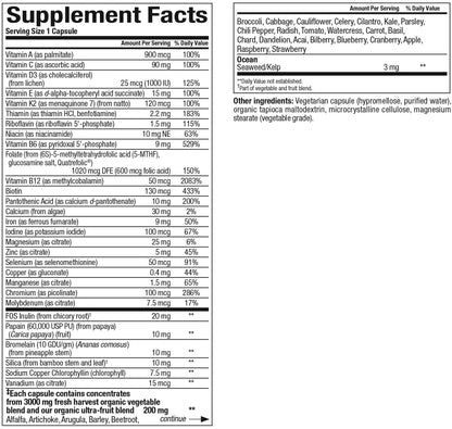 Natural Factors Whole Earth & Sea Women's Once A Day Multivitamin & Mineral - 60 Vegetarian Capsules