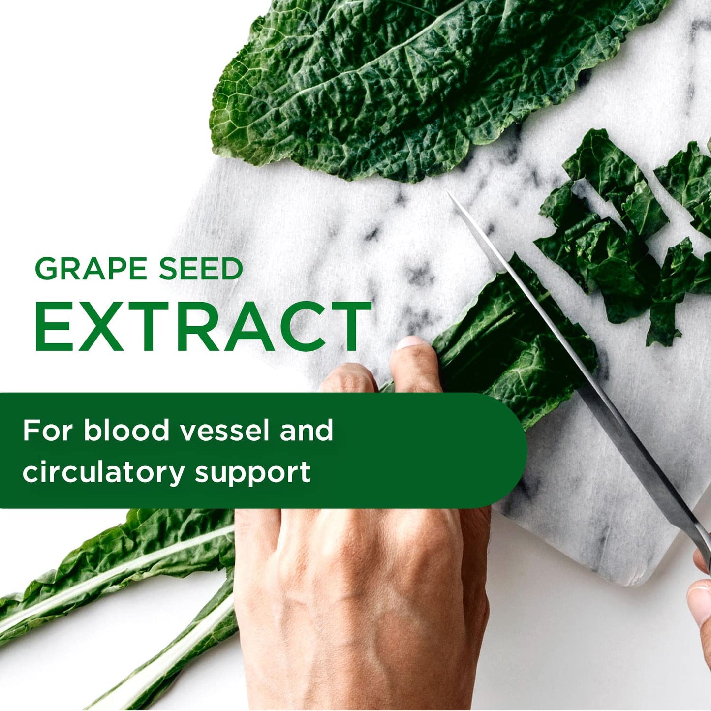 Emerald Labs European Grape Seed Extract – Immune Support & Antioxidant (90 Veg Capsules)