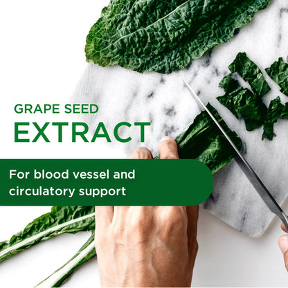 Emerald Labs European Grape Seed Extract – Immune Support & Antioxidant (90 Veg Capsules)