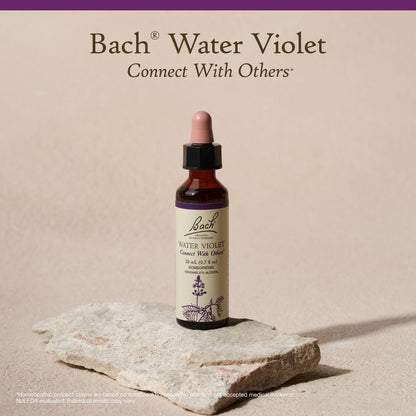 Bach Water Violet Flower Remedy – Connect with Others | 20mL Dropper