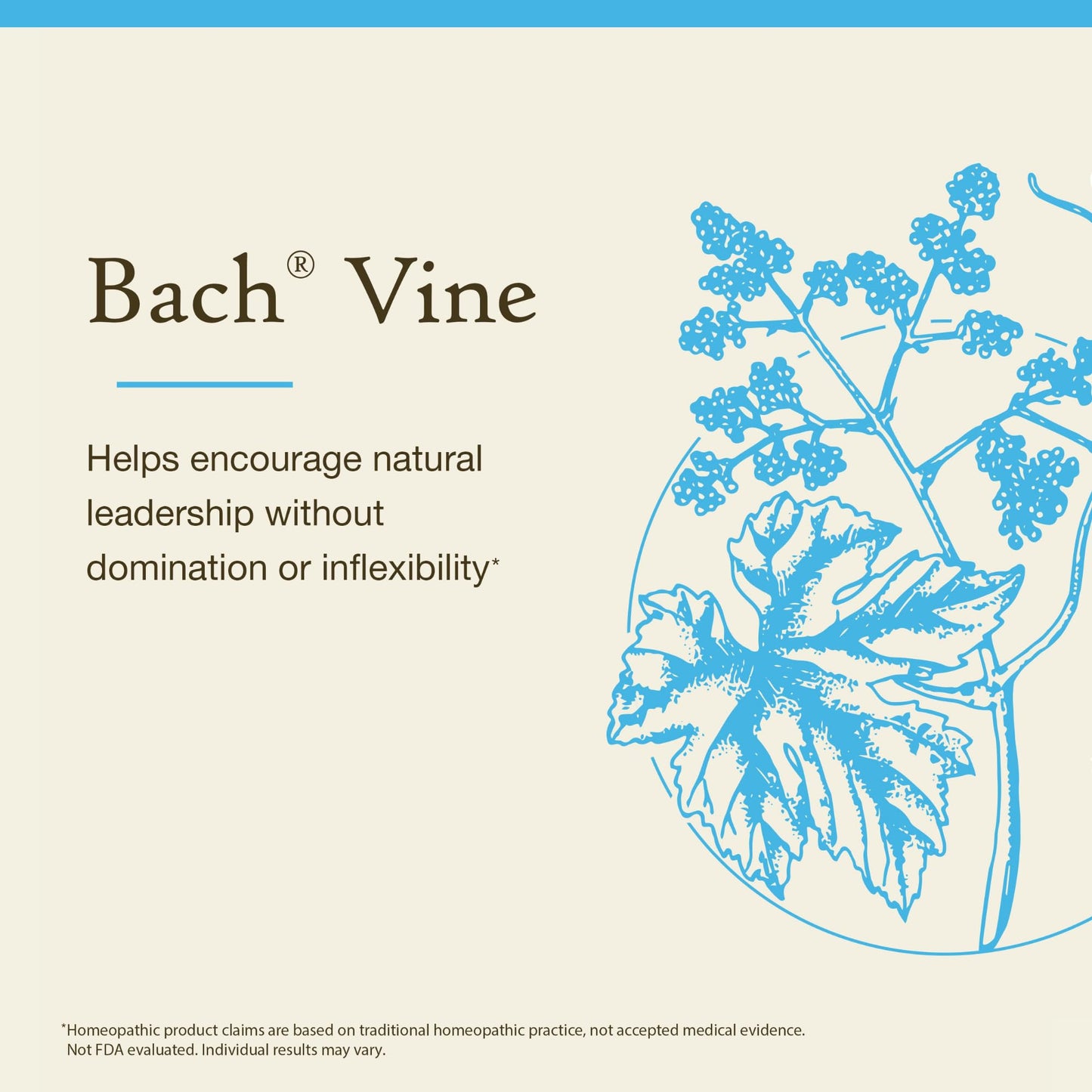 Bach Vine Flower Remedy - Motivate Not Dominate (20mL)