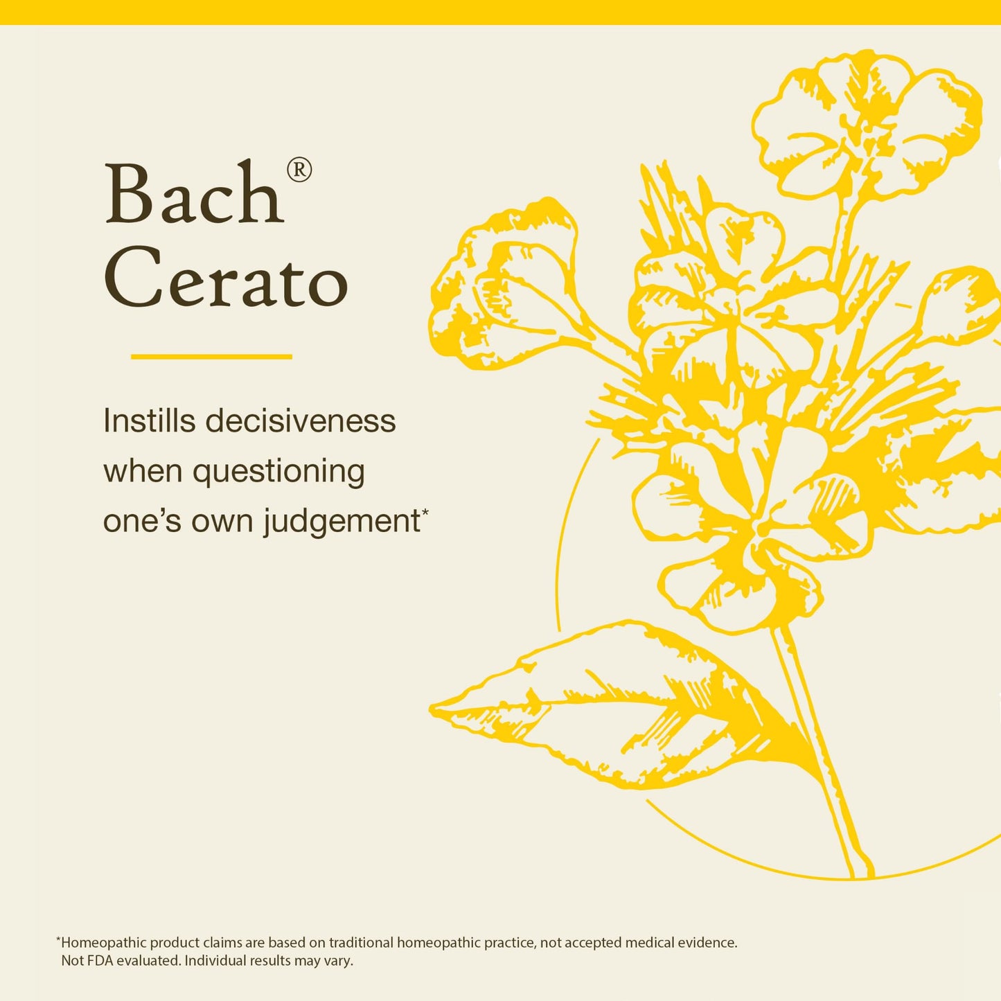 Cerato 20ml – Bach Flower Remedies | Trust Your Inner Wisdom