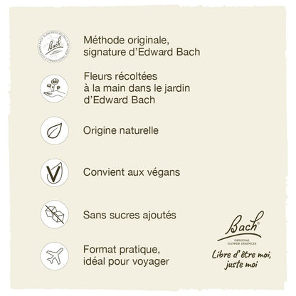 Bach Willow Original Flower Remedies – Forgive & Forget, 20mL Dropper