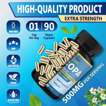 Organic Bacopa Monnieri Supplement with Ashwagandha, Ginseng, Saw Palmetto & Shilajit - 90 Capsules (3-Month Supply)