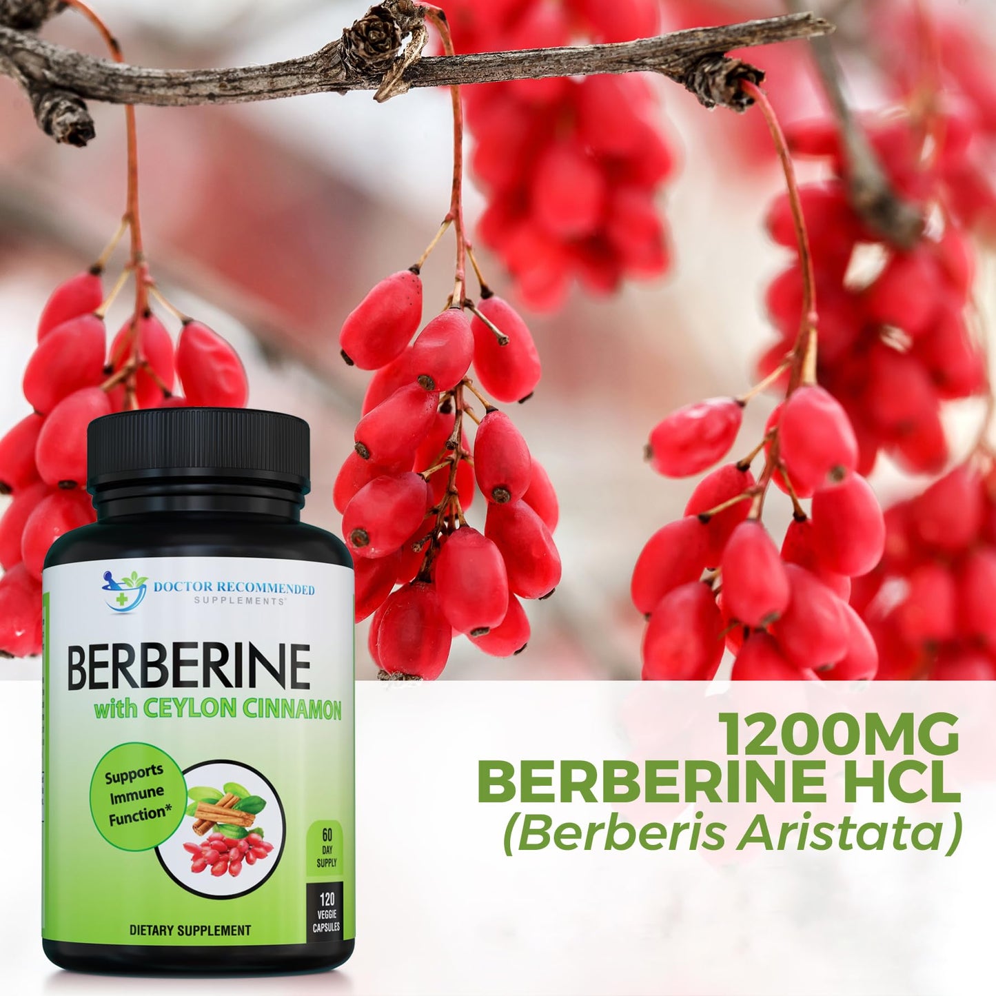 Doctor Recommended Berberine with Ceylon Cinnamon - 1200mg Berberine & 100mg Cinnamon, 120 Veggie Capsules