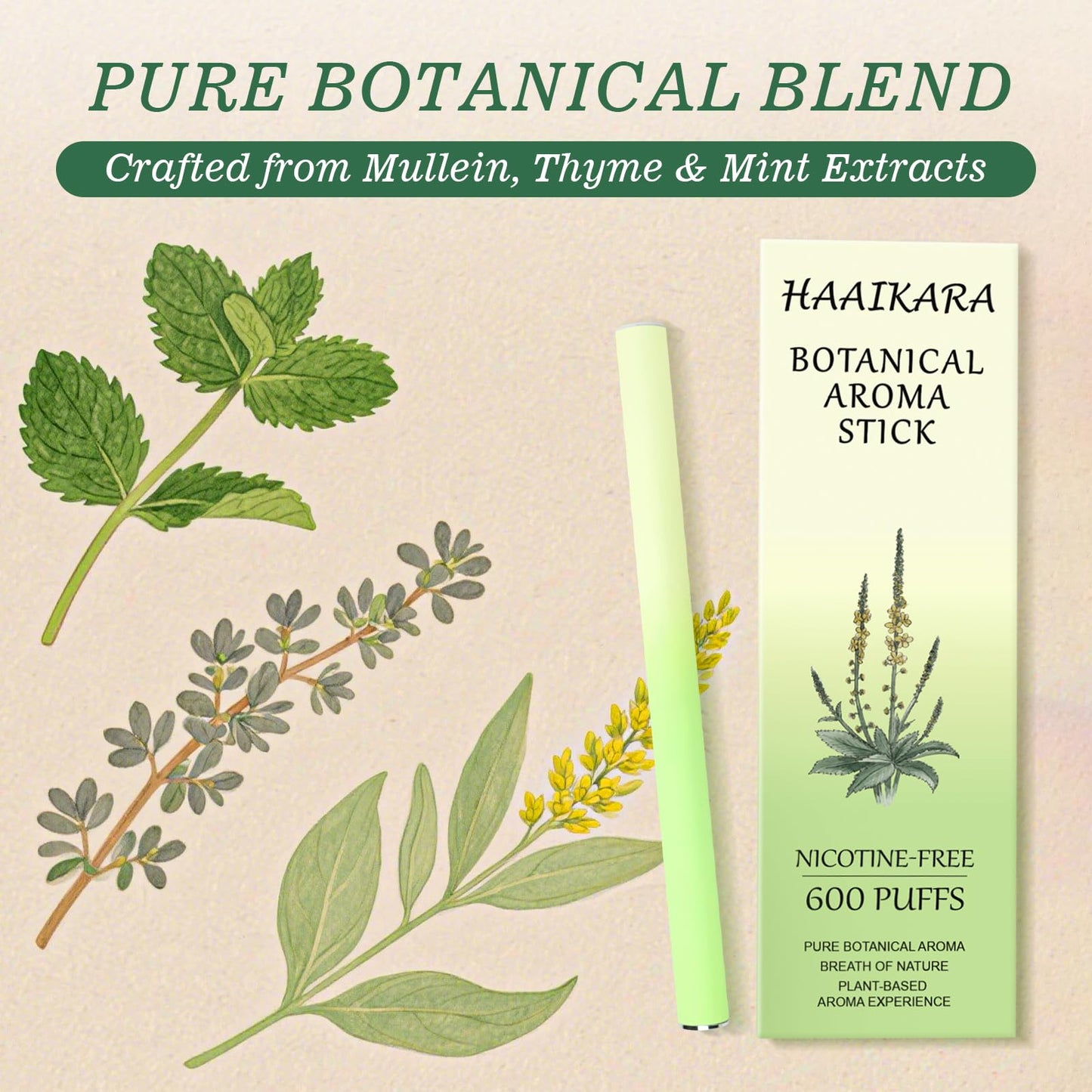 Natural Mullein Herbal Diffuser – Mint & Thyme, Nicotine-Free