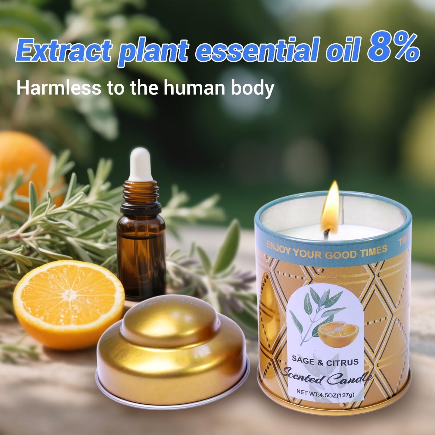 Sage & Citrus, Coconut Beach, Balsam & Cedar 3-Pack Aromatherapy Candle Sets | 8% Essential Oil, 75H Long Burning Soy Wax Scented Candle for Relaxation, Sleep Smoke-Free | Gift for Women and Men