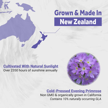 Naturalis Evening Primrose Oil 1300mg | 120 Softgels | New Zealand, Non-GMO, Gluten & Soy Free