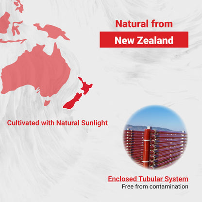 Naturalis New Zealand Astaxanthin (12mg) | Enhanced with Natural Vitamin E | Non-GMO, Soy & Gluten Free | 60 Softgels (2 Month Supply)