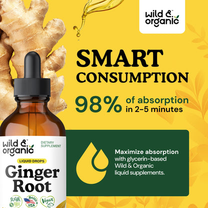 Wild & Organic Ginger Root Extract Drops - Immune & Digestive Support | Vegan, Sugar & Alcohol-Free 4 fl oz