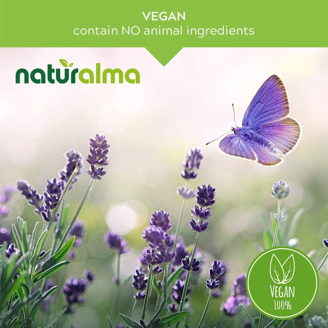 Naturalma Ginkgo Biloba Alcohol-Free Tincture — 16.9 fl oz Liquid Extract (Vegan)