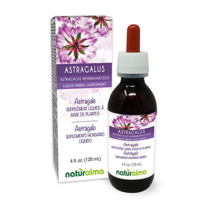 Naturalma Astragalus Root Alcohol-Free Tincture - 4 fl oz | Vegan Liquid Extract